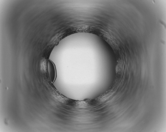 X0000096990287200802221505