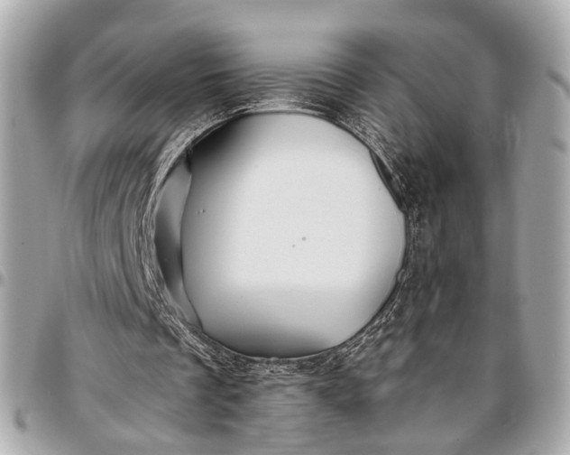 X0000096990289200802221505