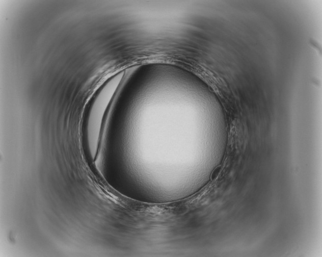 X0000096990290200802221505