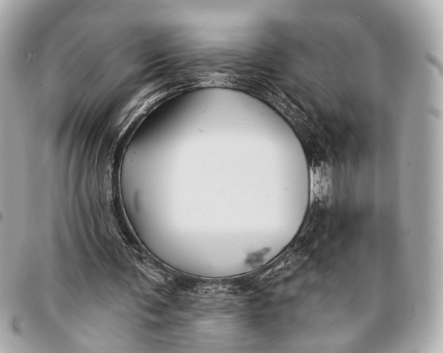 X0000096990291200802221505