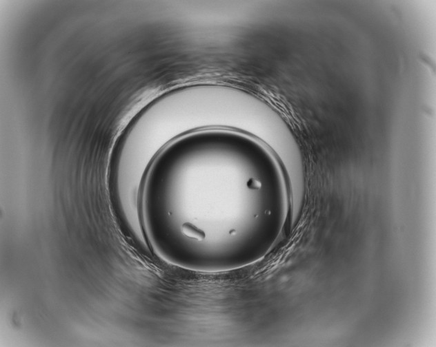 X0000096990292200802221505