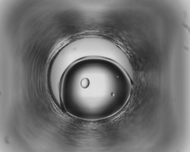 X0000096990293200802221505