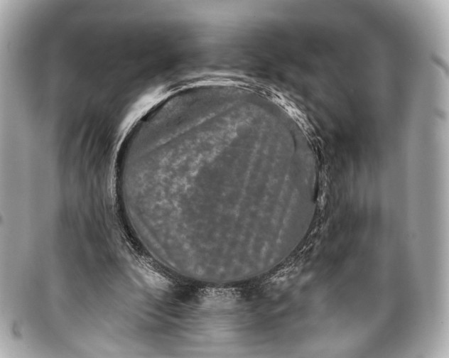 X0000096990296200802221504