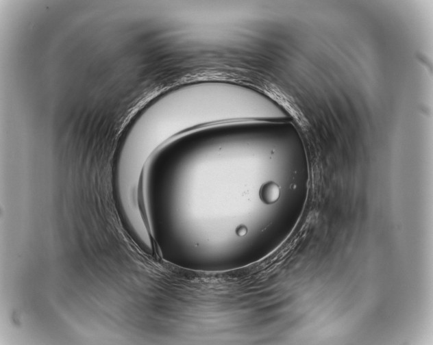 X0000096990297200802221504