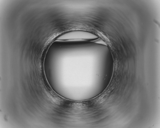 X0000096990298200802221504