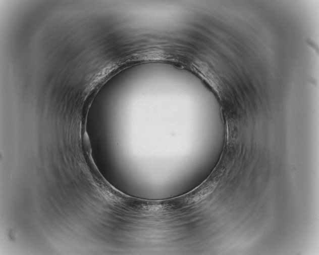 X0000096990301200802221504