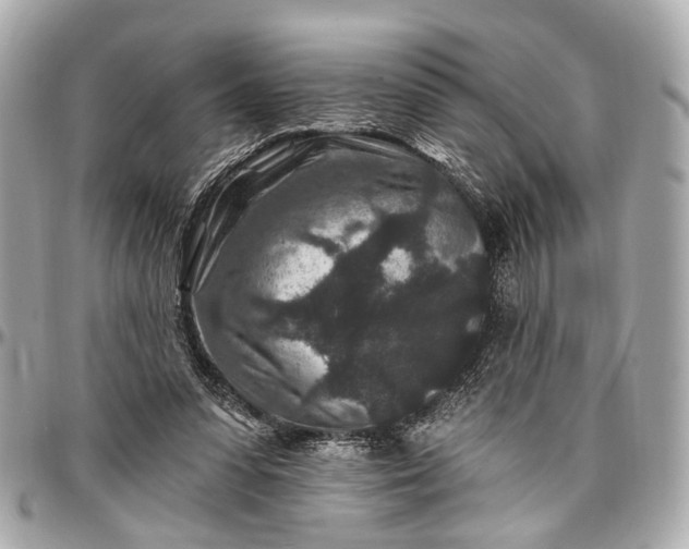 X0000096990303200802221504