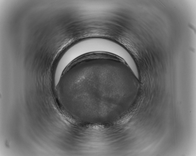 X0000096990304200802221504