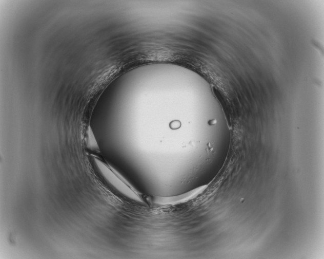 X0000096990305200802221504