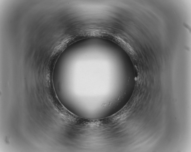 X0000096990306200802221504