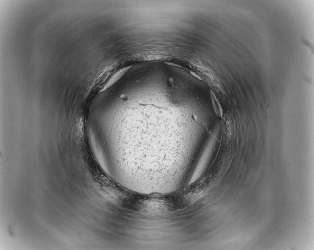 X0000096990308200802221504