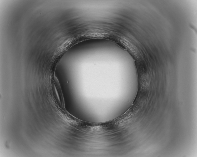 X0000096990309200802221504