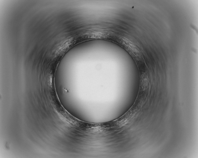 X0000096990310200802221504