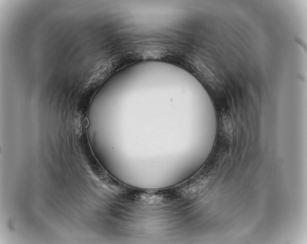 X0000096990311200802221504