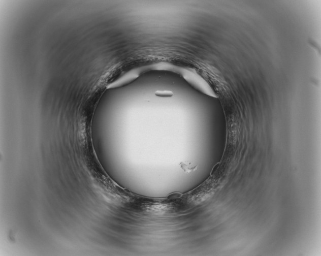 X0000096990312200802221504