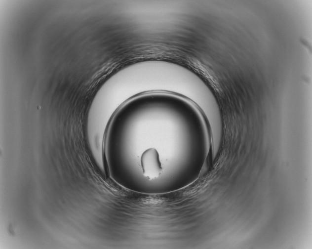 X0000096990313200802221504