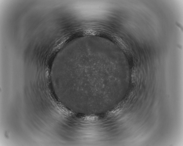 X0000096990314200802221504