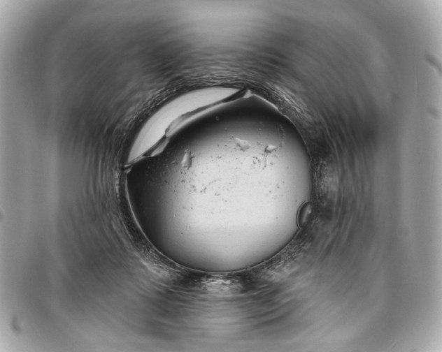 X0000096990315200802221504