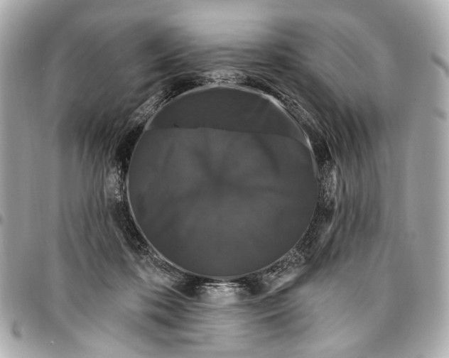 X0000096990316200802221504