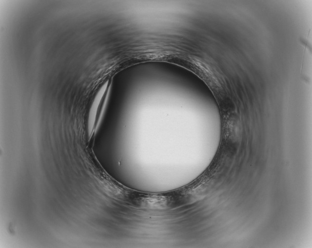 X0000096990317200802221504