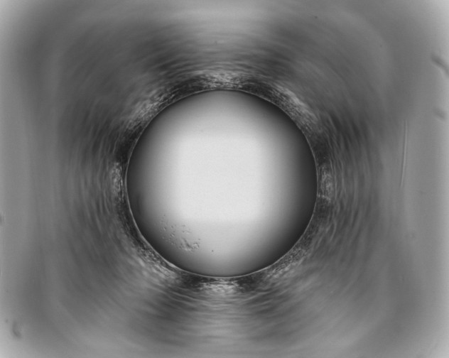 X0000096990318200802221504