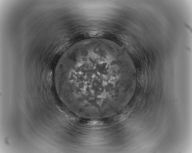 X0000096990319200802221504