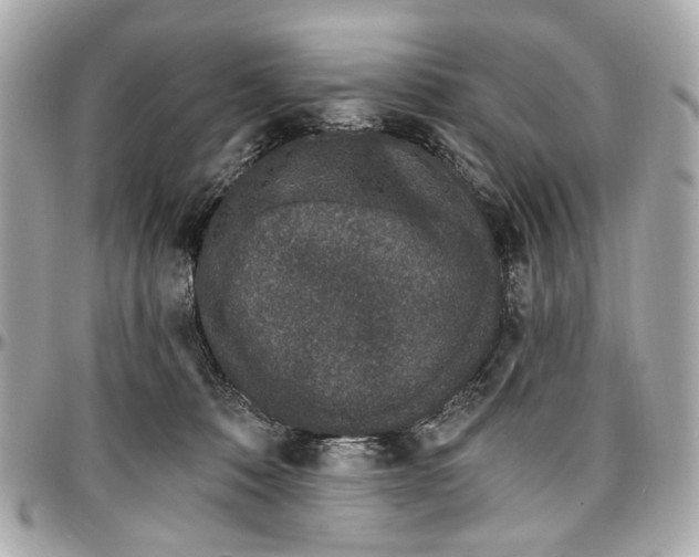 X0000096990320200802221504