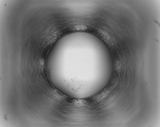 X0000096990321200802221504