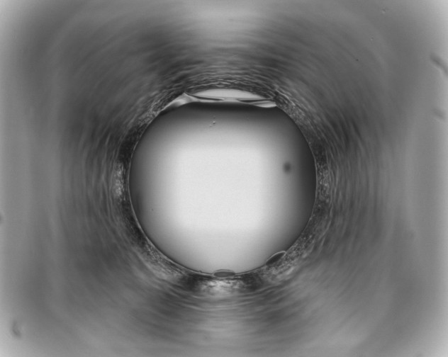 X0000096990323200802221504