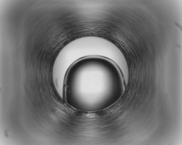 X0000096990324200802221504