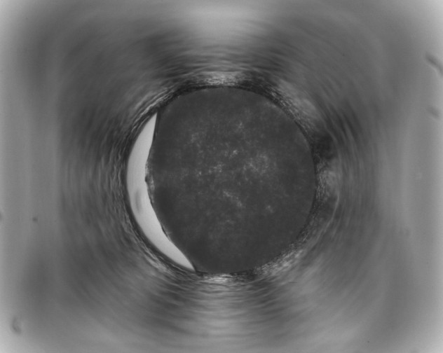 X0000096990325200802221504