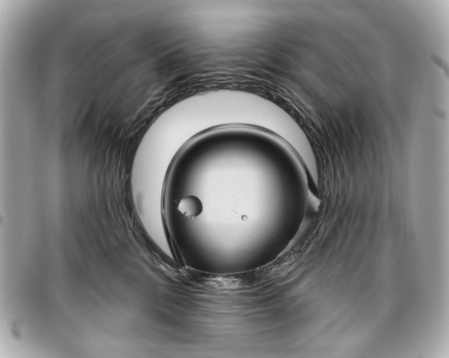 X0000096990328200802221504