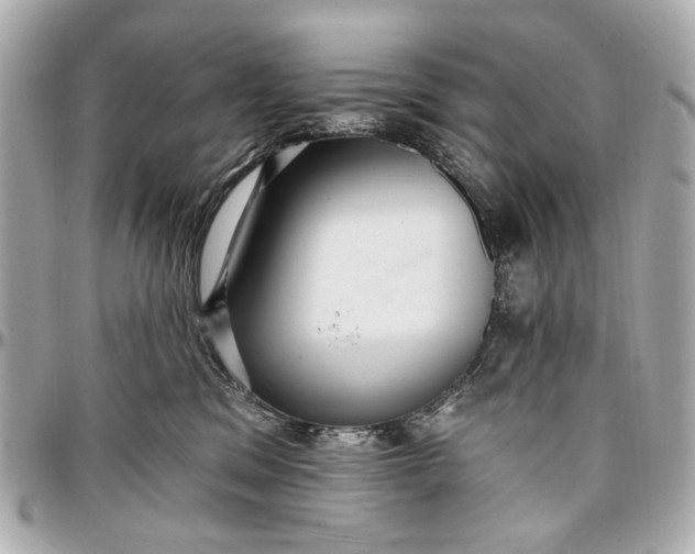 X0000096990329200802221504