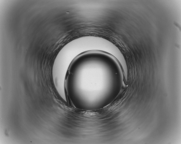 X0000096990332200802221504