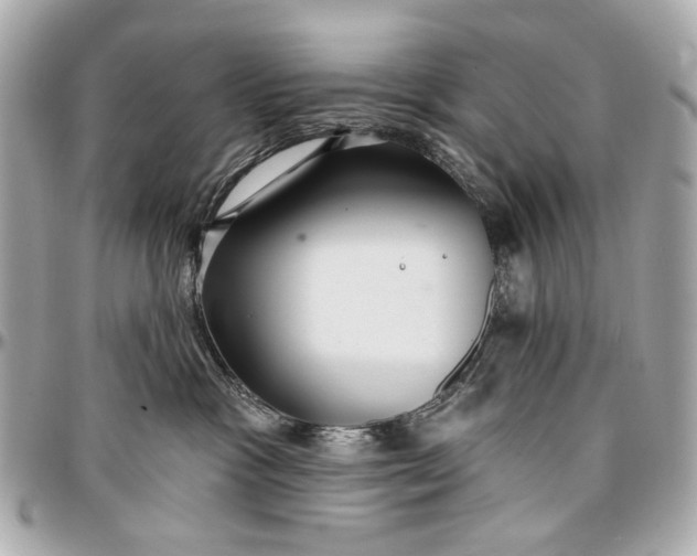 X0000096990333200802221504