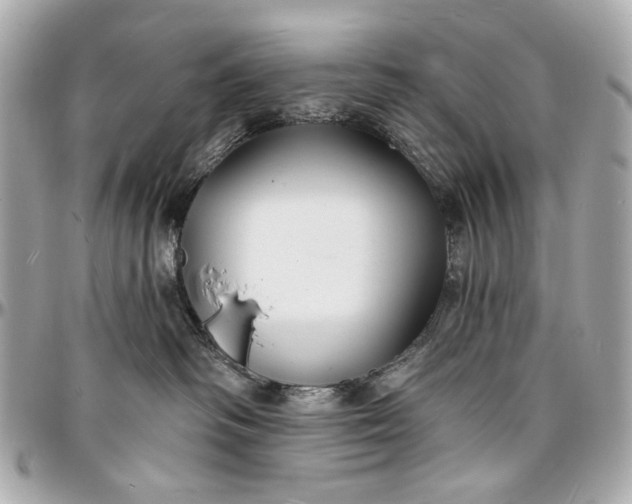 X0000096990334200802221504