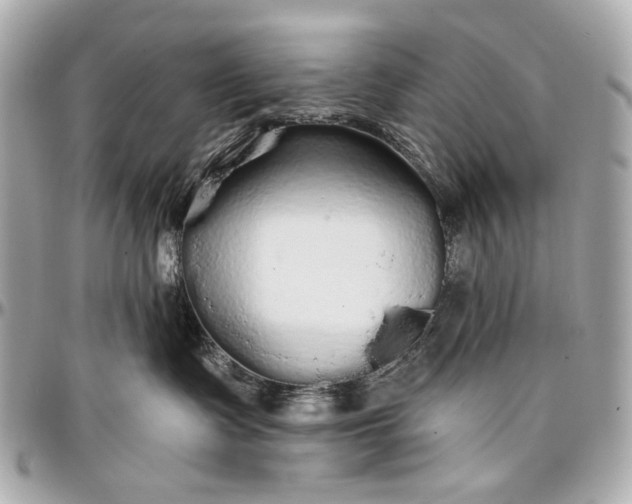 X0000096990335200802221504