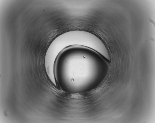 X0000096990336200802221504