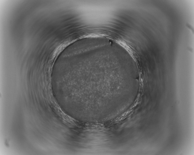 X0000096990337200802221503