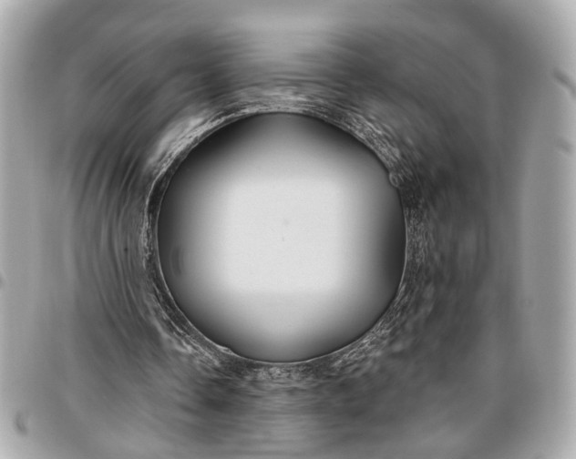 X0000096990338200802221503