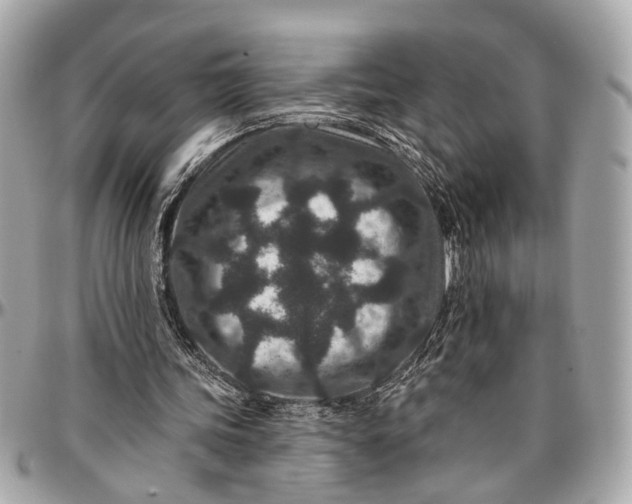 X0000096990339200802221503