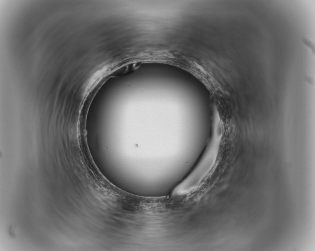 X0000096990340200802221503