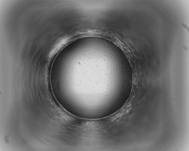 X0000096990341200802221503