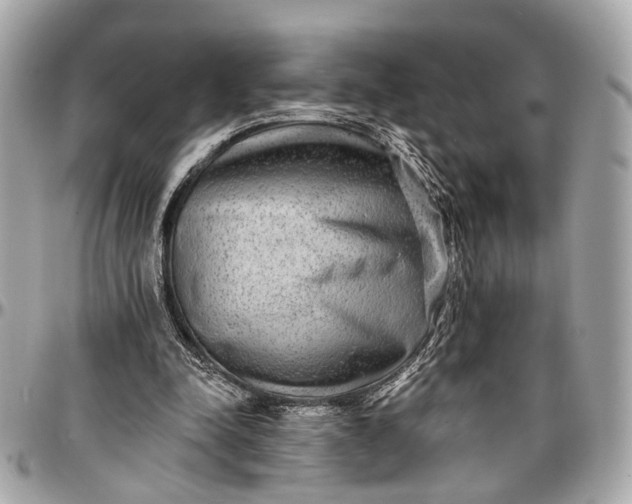 X0000096990342200802221503