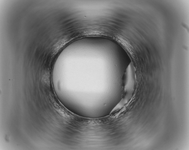 X0000096990345200802221503