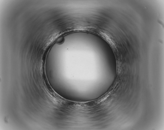 X0000096990346200802221503