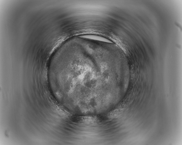 X0000096990347200802221503