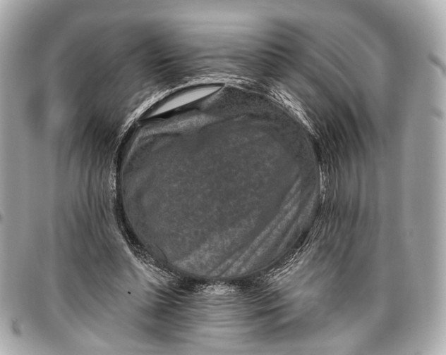 X0000096990348200802221503