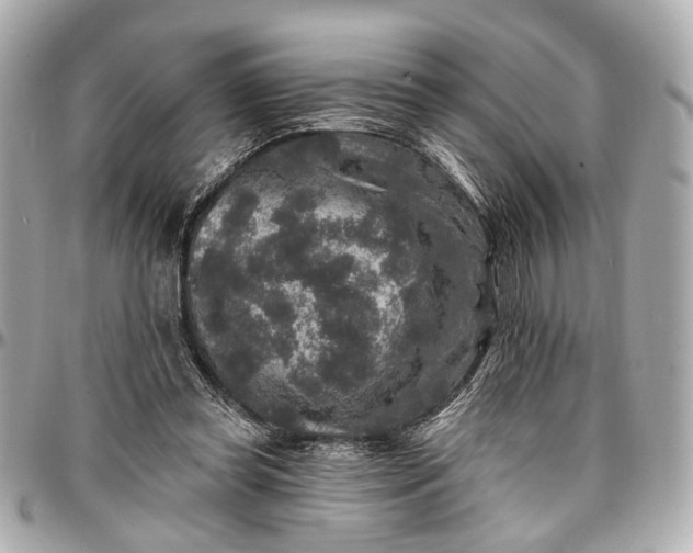 X0000096990349200802221503