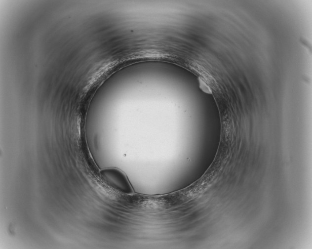 X0000096990350200802221503